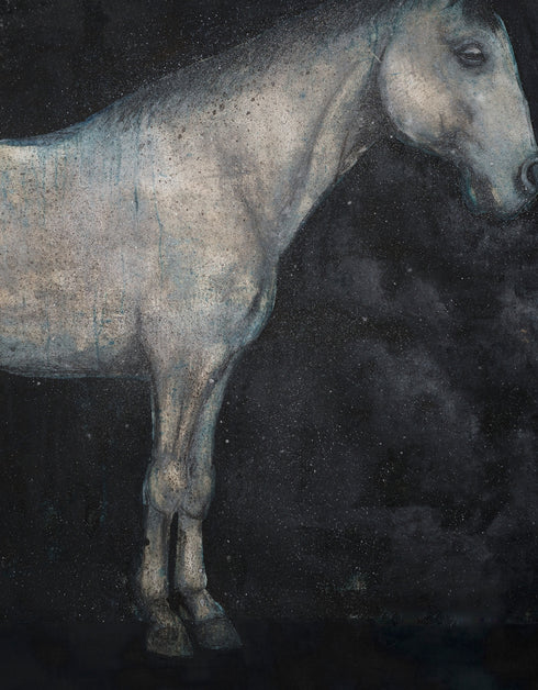 HORSE | COMMISSION